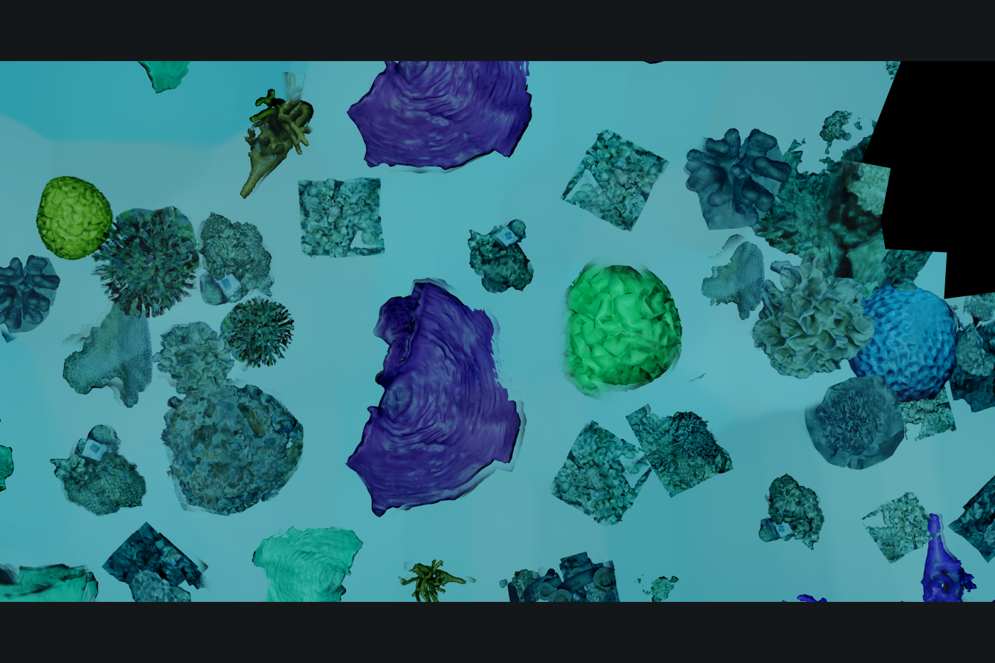 Orthomosaic of the surveyed reef area (simulation)